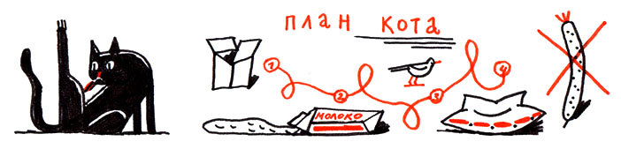 план кота