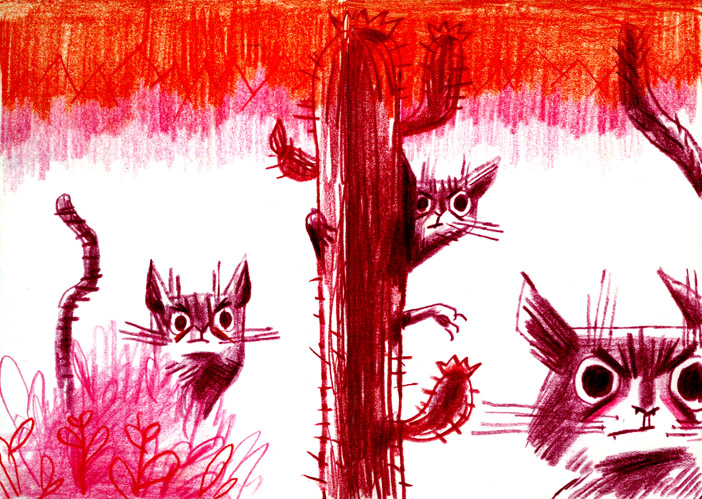 gatos
